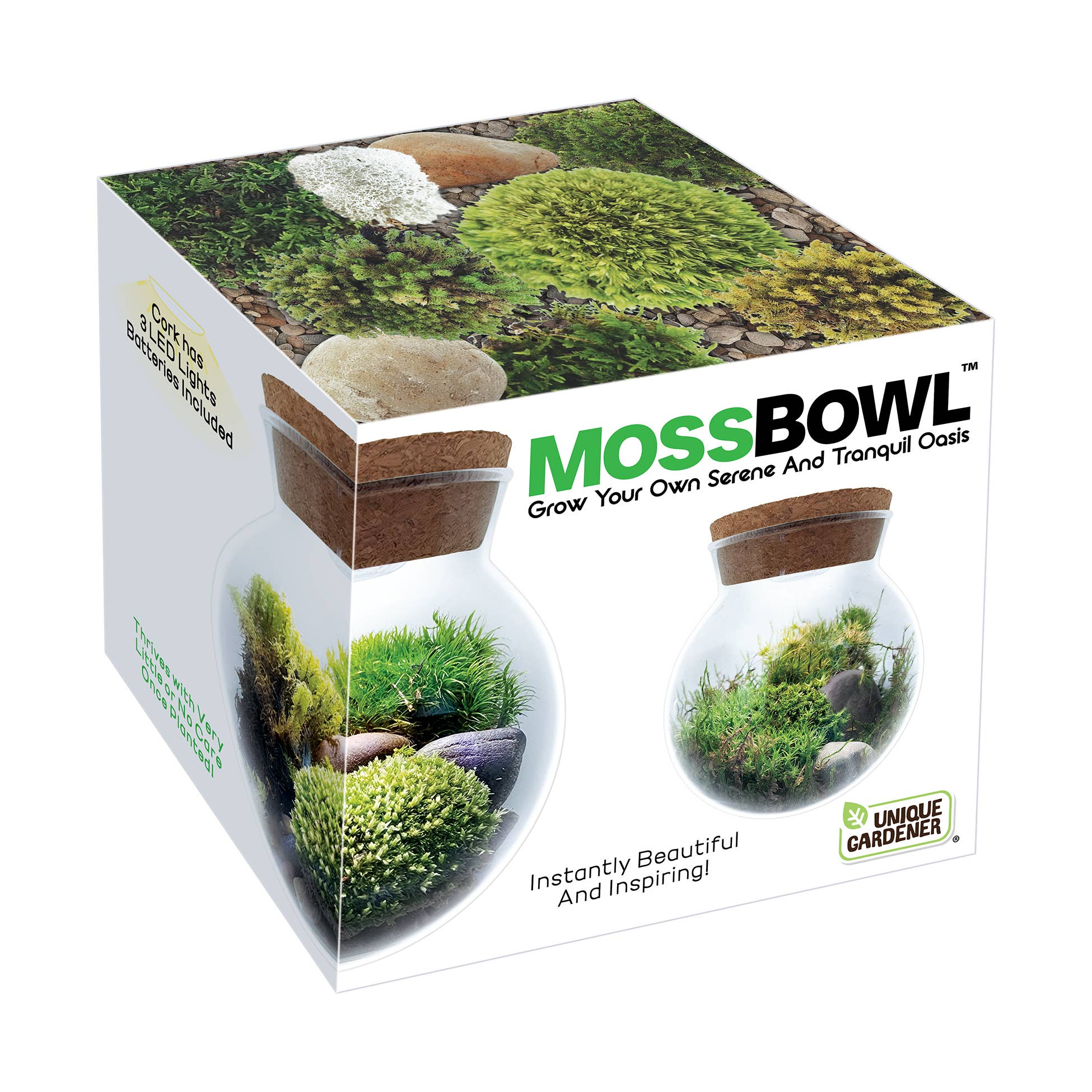 Silver Circle Products - Vente Terrariums - Terrarium en verre MossBowl avec mousse vivante et lumière LED1