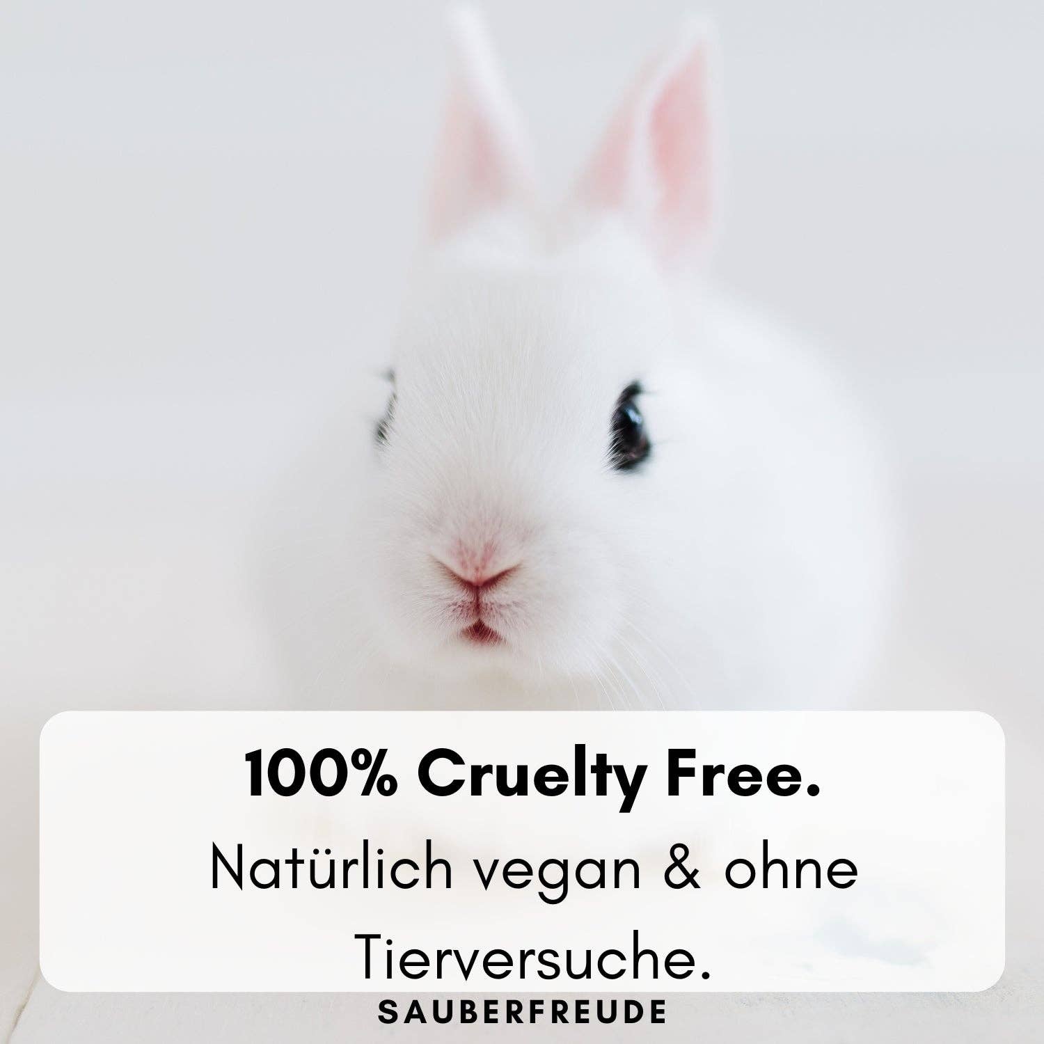 Sauberfreude - Vente Lessives liquides - Détergent liquide biologique parfum lavande4