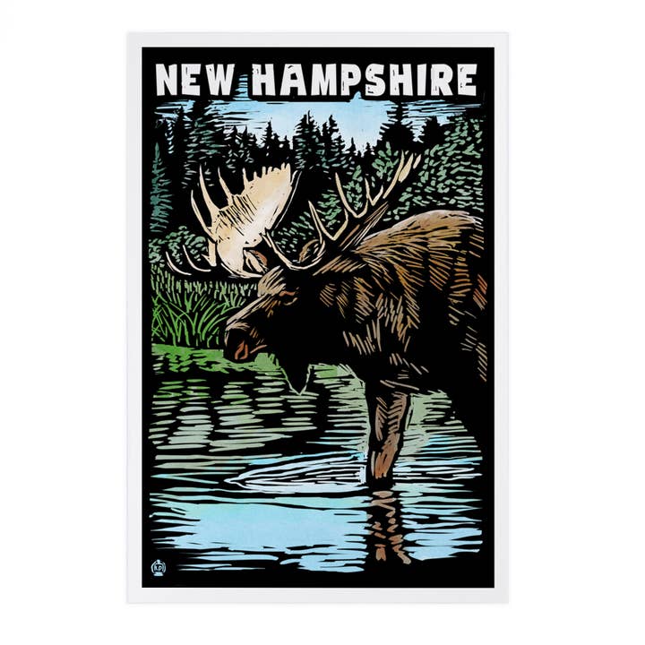 CARTOLINE PREMIUM New Hampshire, Moose, Scratchboard per la vendita all'ingrosso da parte di Lantern Press