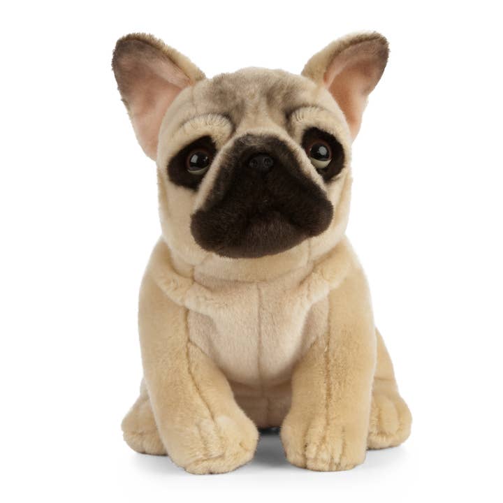 Living Nature Sitting French Bulldog Plush Stuffed Toy for wholesale by Keycraft