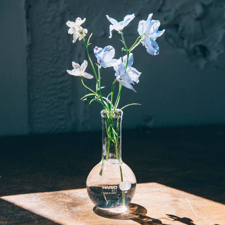 Flat-Bottom Flask Flower Vase for wholesale by HARIO USA