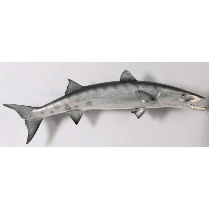 Barracuda 51.75"lx5.75"wx14.75"h for wholesale by Nautical Tropical Imports