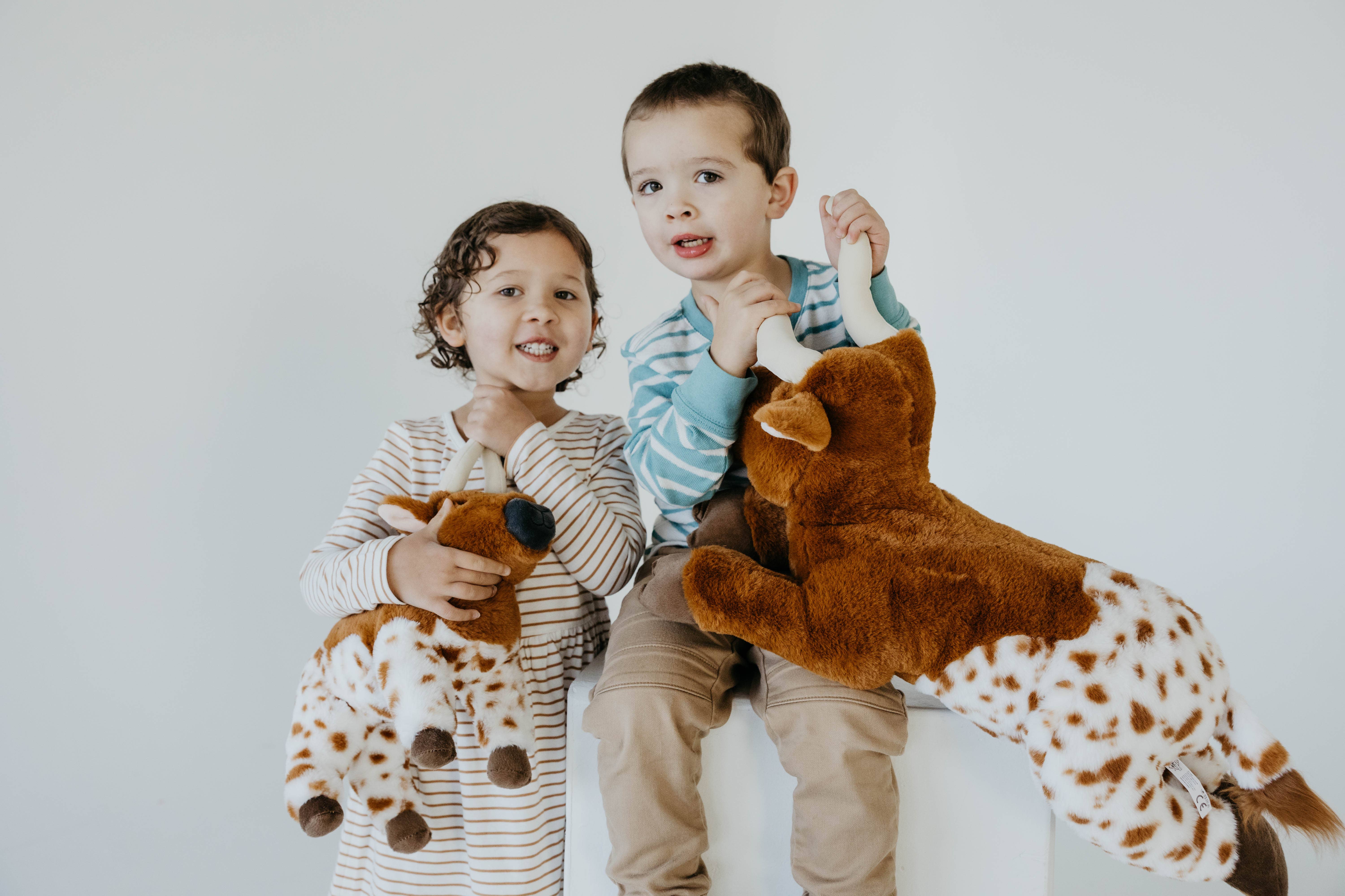 The Petting Zoo - Wholesale Stuffed/Plush Toy - Kids & Baby - 12" (30cm) Wild Onez Longhorn Cow2