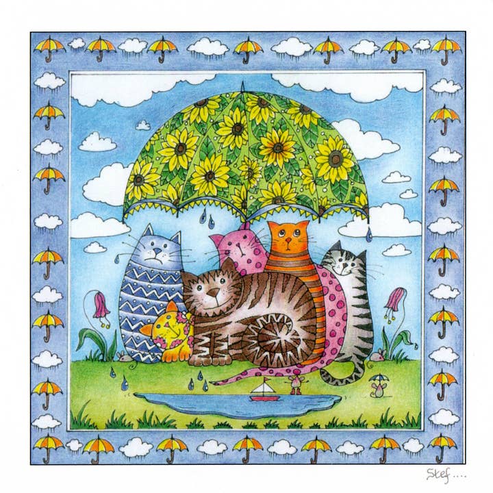 Seks katte, der søger ly for regnen for engroshandel hos Cheshire card company