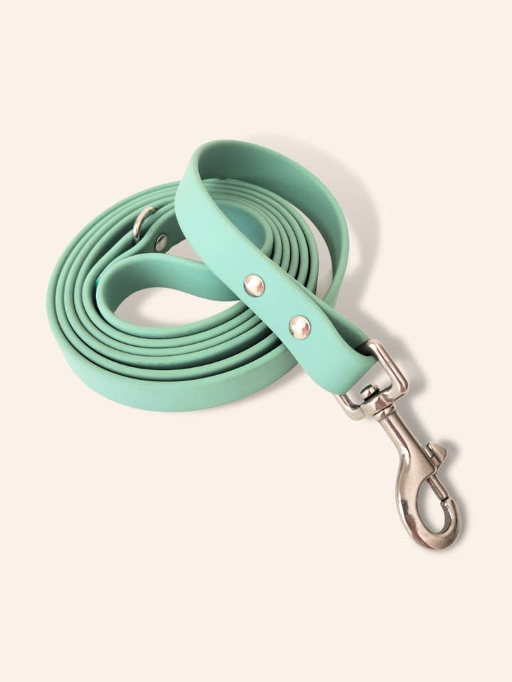 Laisse "soft touch" vert Lagon pour la vente par Ploouf Dogs
