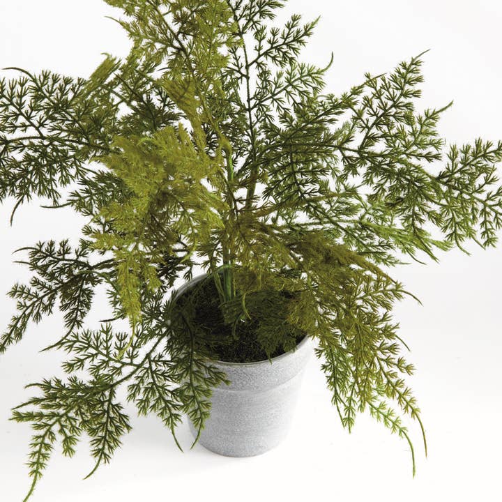 Green Plumosa Fern Drop-In 13" for wholesale on Faire1