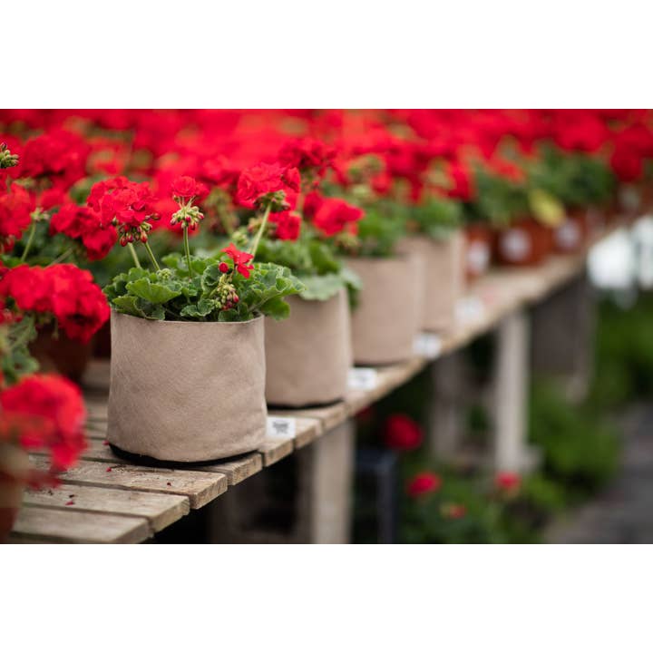 Smart Pots - Wholesale Plant Pot - Natural Smart Pots 3 Gallon: Multi-Purpose Small
