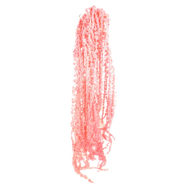 Botanico Ltd. - Wholesale Dried/Pressed Flowers - Amaranthus Preserved5