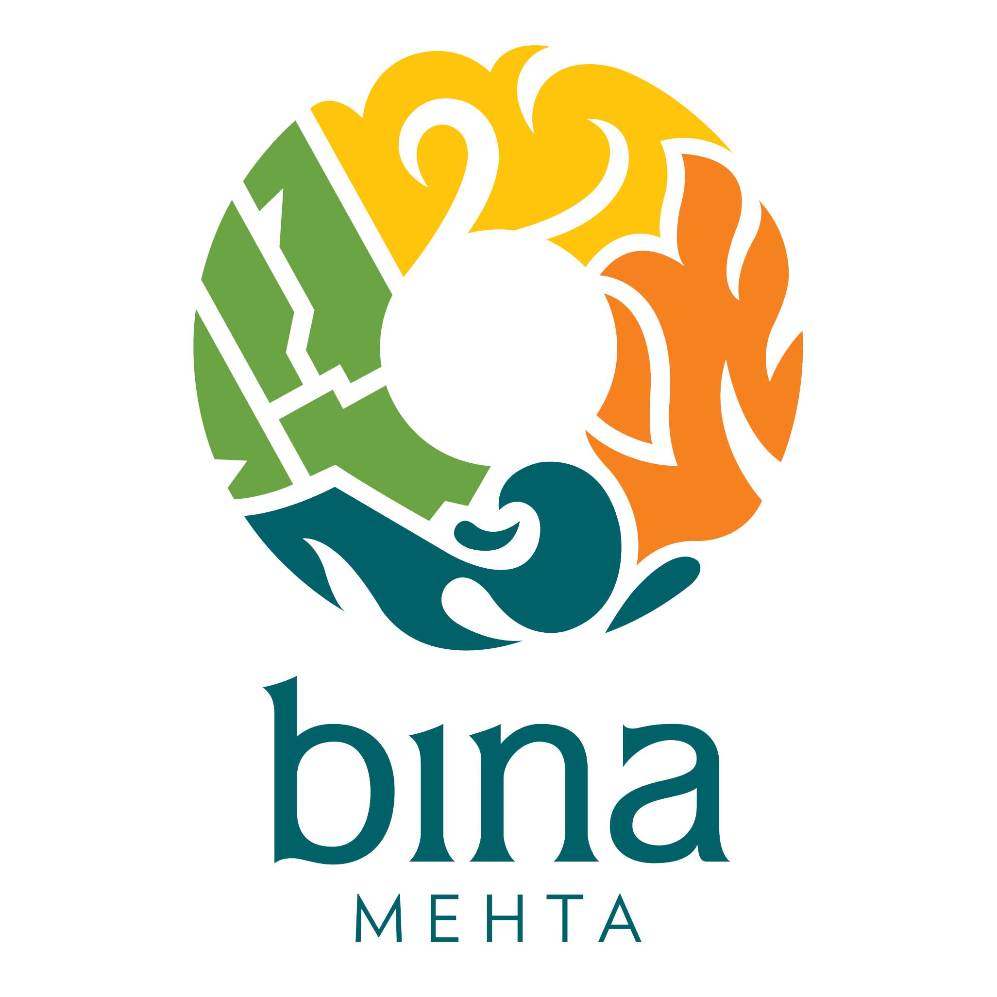 Bina Mehta Spice Blends wholesale products
