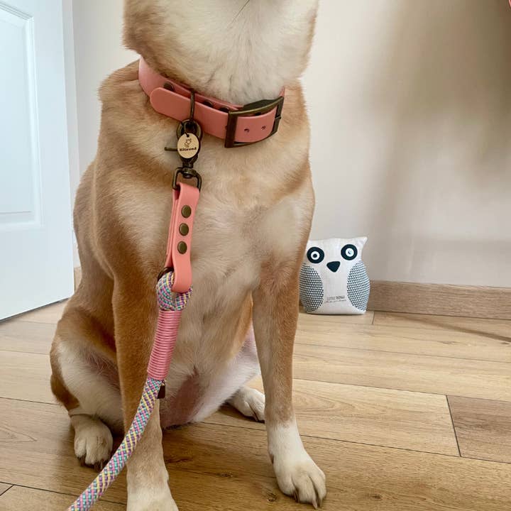 KITSUNE.DOG - Venta al por mayor Correa - Perros - Deja MULTIPOSITION paracordón texturizado / biotano ROSA4