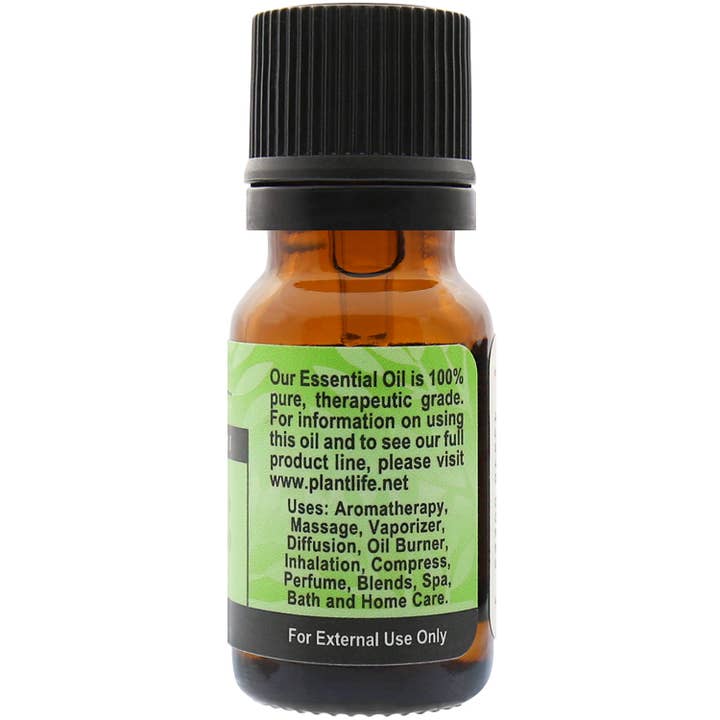 Plantlife - Wholesale Essential Oil - Celery Seed Essential Oil1