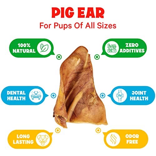 FETCHERONI - Wholesale Pet Treats - Dog - Pig Ears For Dogs, Whole Large3