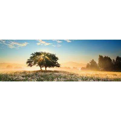 Play of Light for wholesale by Autruche