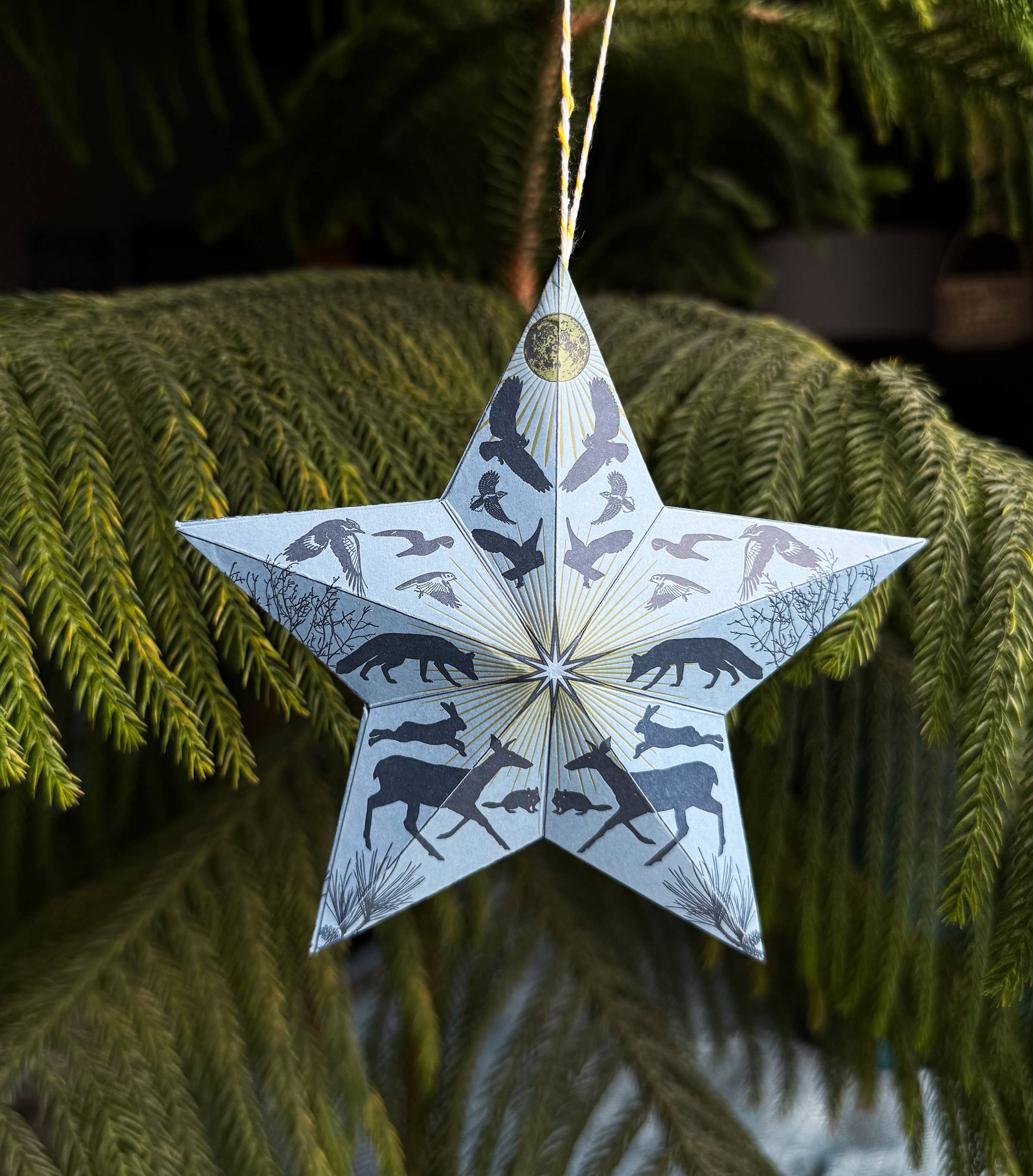 Blackbird Letterpress - Wholesale DIY Craft Kit - Holiday Solstice star DIY ornament kit2