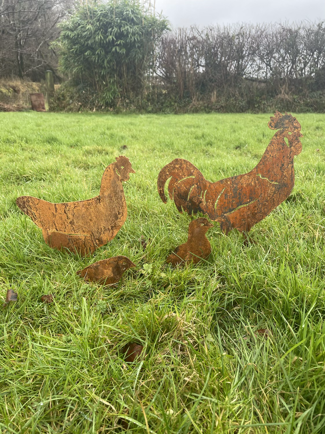 Beechwood Trinkets – wholesale Outdoor ornament/decor – Rustic garden Chicken Family1