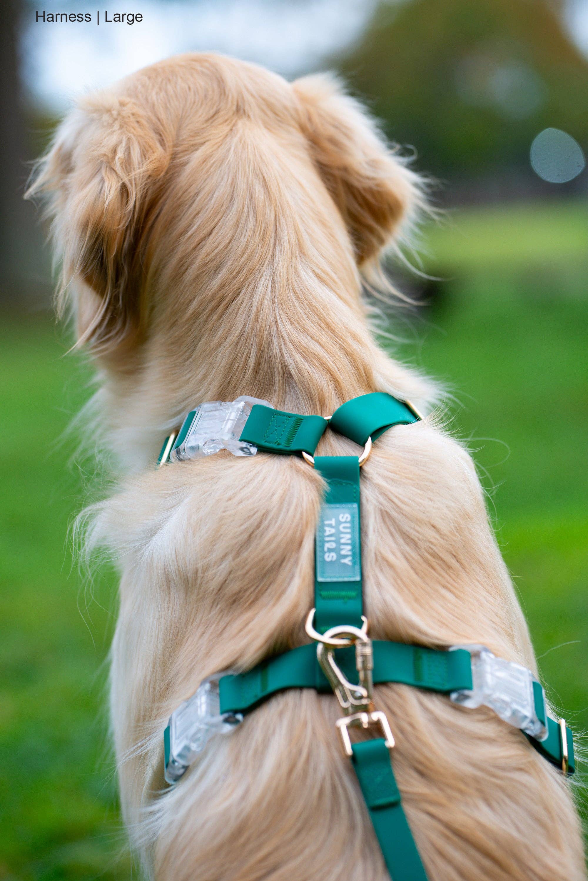 SUNNY TAILS - Wholesale Pet Harness - Dog - Meadow Green Cloud Lite Dog Harness4
