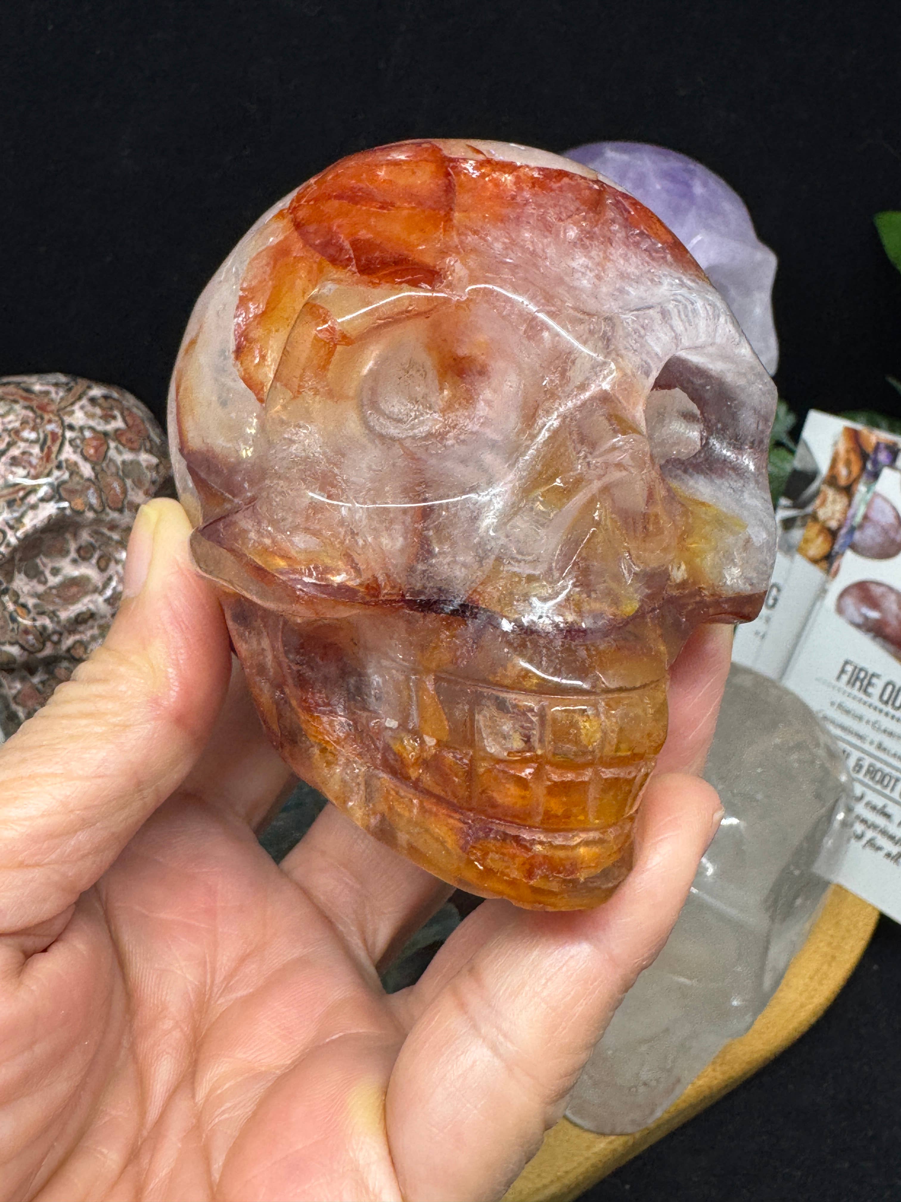 The 7 Directions - Wholesale Spiritual Stone/Crystal - 6 pc Ocean Jasper Leopardite fire quartz skull bundle G80516