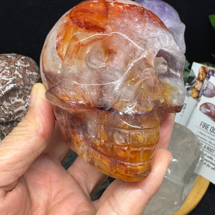 The 7 Directions - Wholesale Spiritual Stone/Crystal - 6 pc Ocean Jasper Leopardite fire quartz skull bundle G80516