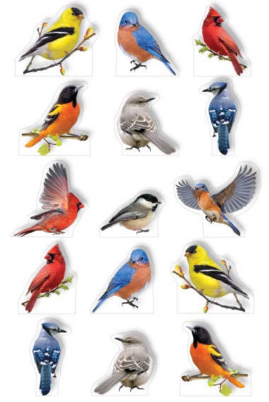 Paper House Productions - Wholesale Sticker - Pop Up Scrapbook Stickers - Backyard Birds0