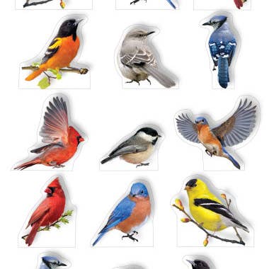 Paper House Productions - Wholesale Sticker - Pop Up Scrapbook Stickers - Backyard Birds