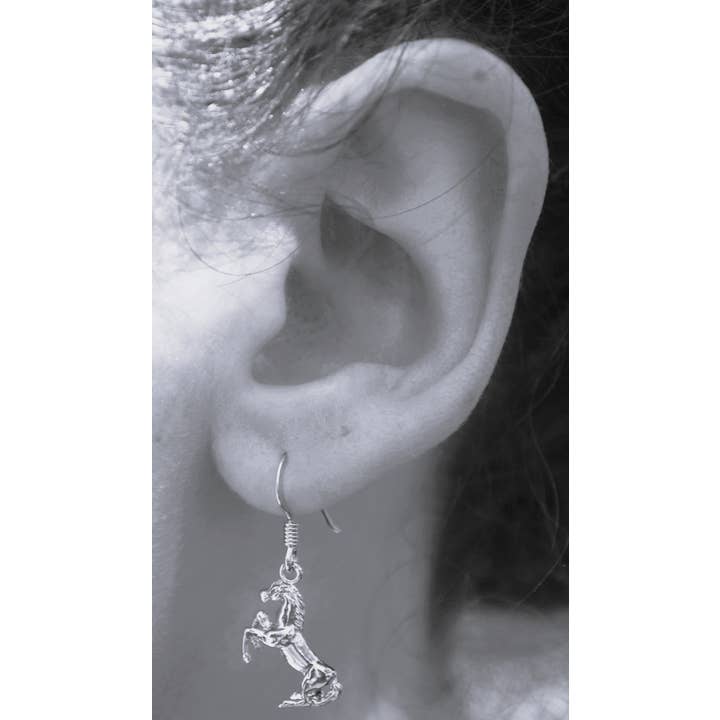 Semaki & Bird – Brincos de argola por atacado – Brincos pendentes de cavalo - prata esterlina História Natural2