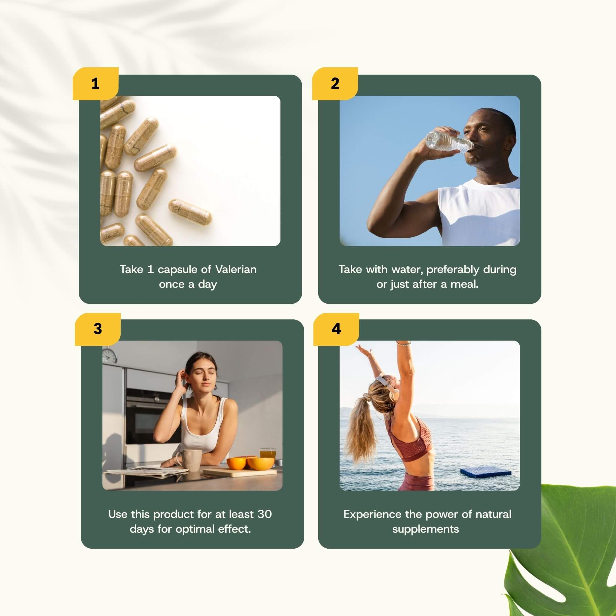 Cupplement b.v. – Suplemento/vitamina oral por atacado – Cápsulas de Extrato de Valeriana 500 mg 60 Cápsulas8