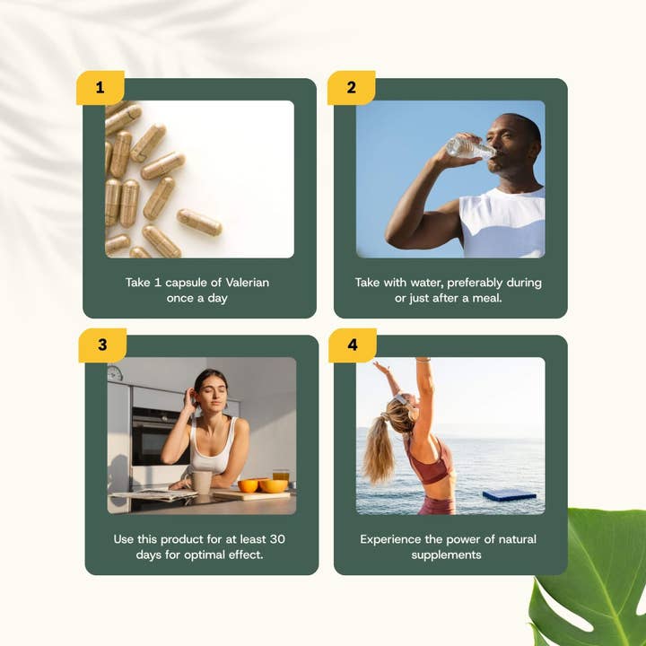 Cupplement b.v. - Wholesale Oral Supplement/Vitamin - Valerian Extract Capsules 500 mg 60 Capsules8