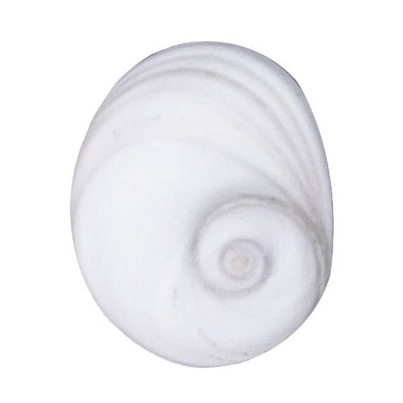 Eye of Saint Lucia - Rough Stone for wholesale by France Mineraux