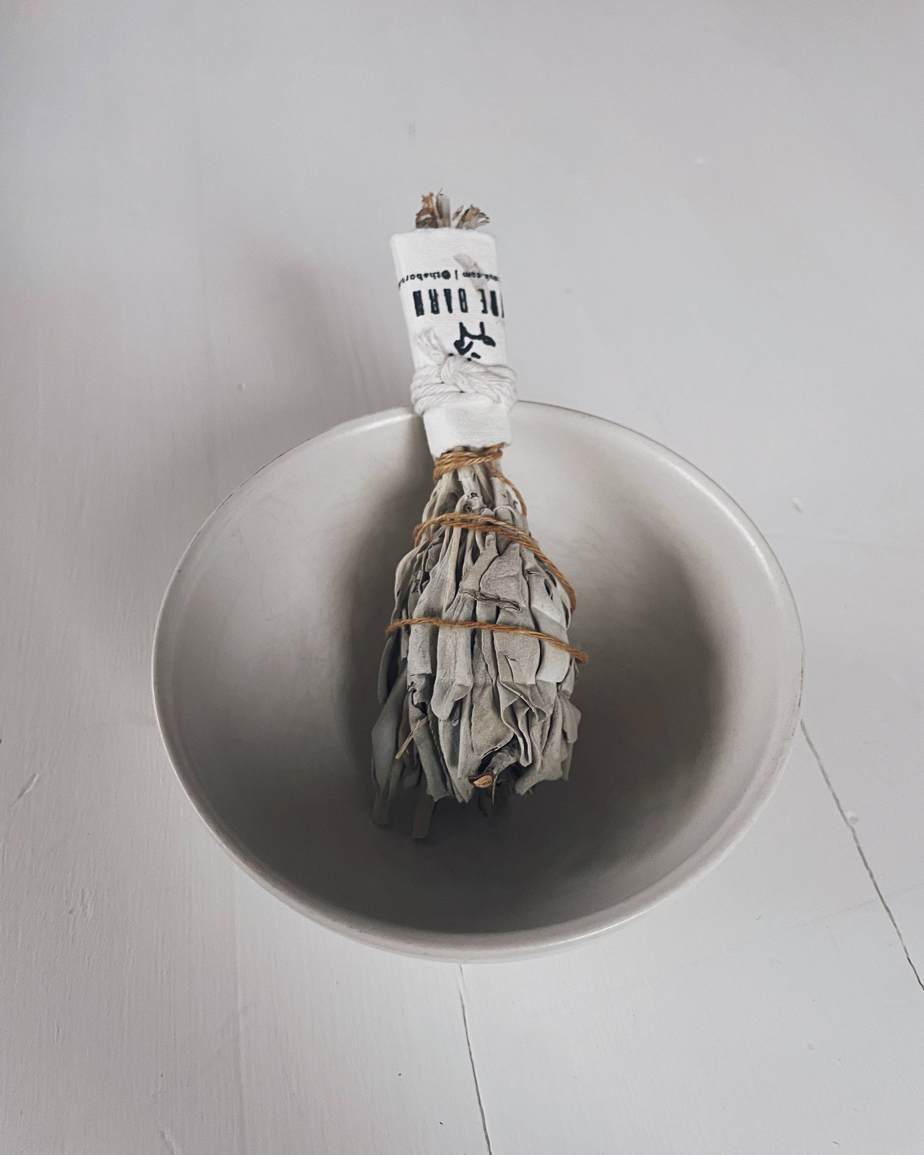 THE BARN - Venta al por mayor Salvia - Salvia blanca de la pradera2