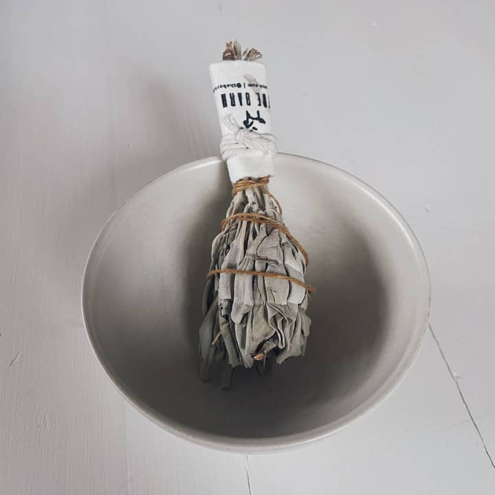 THE BARN - Venta al por mayor Salvia - Salvia blanca de la pradera2