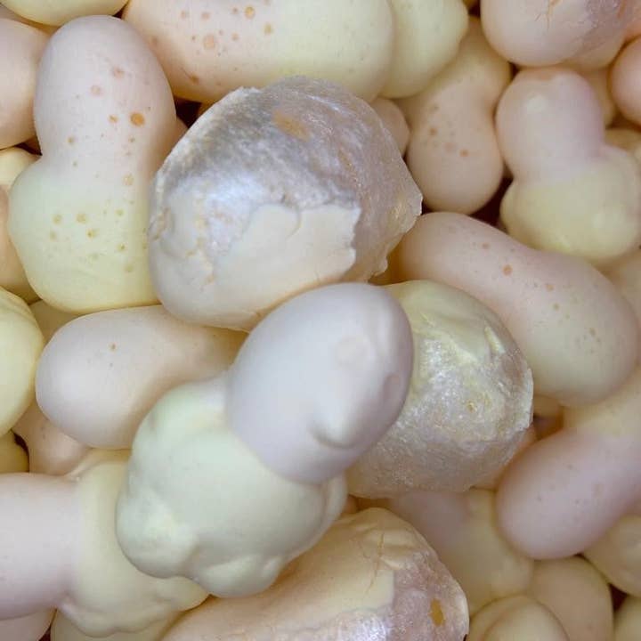 Squashies Easter (Pineapple & Orange)(LIMITED EDITION) - Fre for wholesale by Freeze Dried Sweets