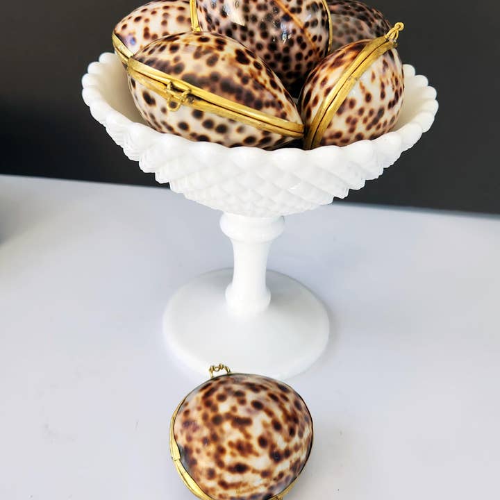 Tiger Cowrie Trinket Pill Box, Coin Purse for wholesale by White Tulip Boutique