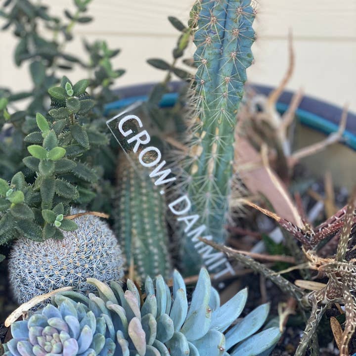 BUBBLEHEAD INK - Wholesale Garden/Lawn Stake - Plant Lover Gift | Black Thumb Garden Stakes | Snarky Housewarming Gift | Snarky Plant Lover | Crazy Plant Lady | Ready to Ship Christmas3