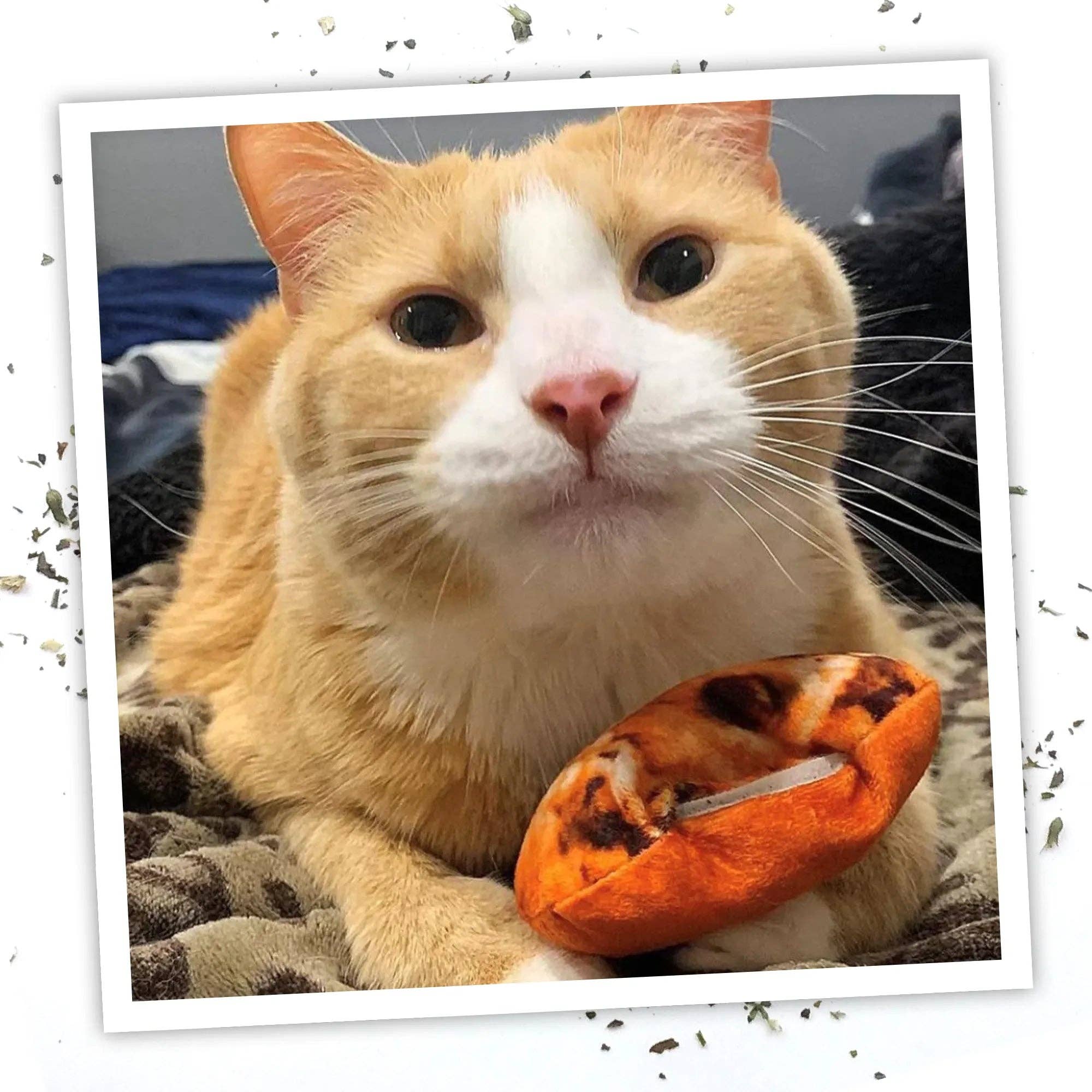 SmarterPaw | Meowijuana & Doggijuana – wholesale Leksak - Katt – Meowijuana® Get Baked Cookie Påfyllningsbar Kattleksak5