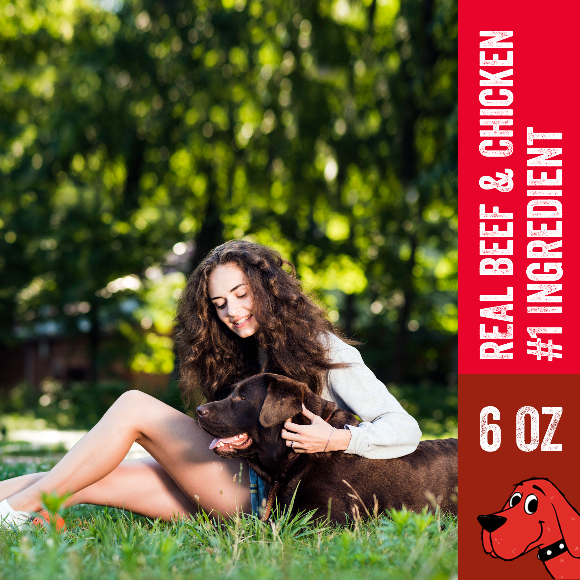 J&C PET SUPPLY LLC - Vente Friandises – chien - Friandises à mâcher pour chiens Clifford The Big Red Dog, 6 oz6