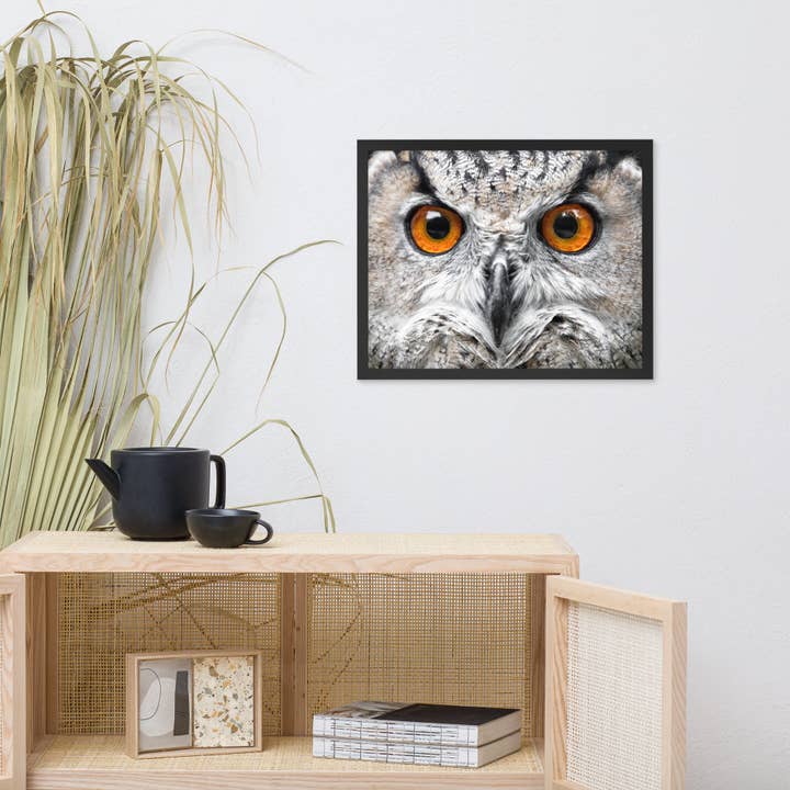 Pipa Wall Art & Home Decor - Wholesale Art Print - Close-up Yellow Owl Eyes Animal Wildlife Framed Wall Art3