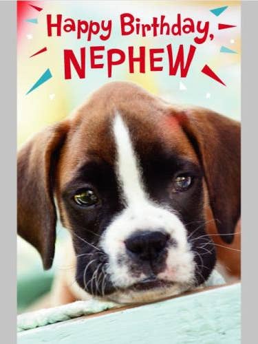 Birthday Nephew | AGVL | MD | $7285991 for wholesale by DICKENS INC.