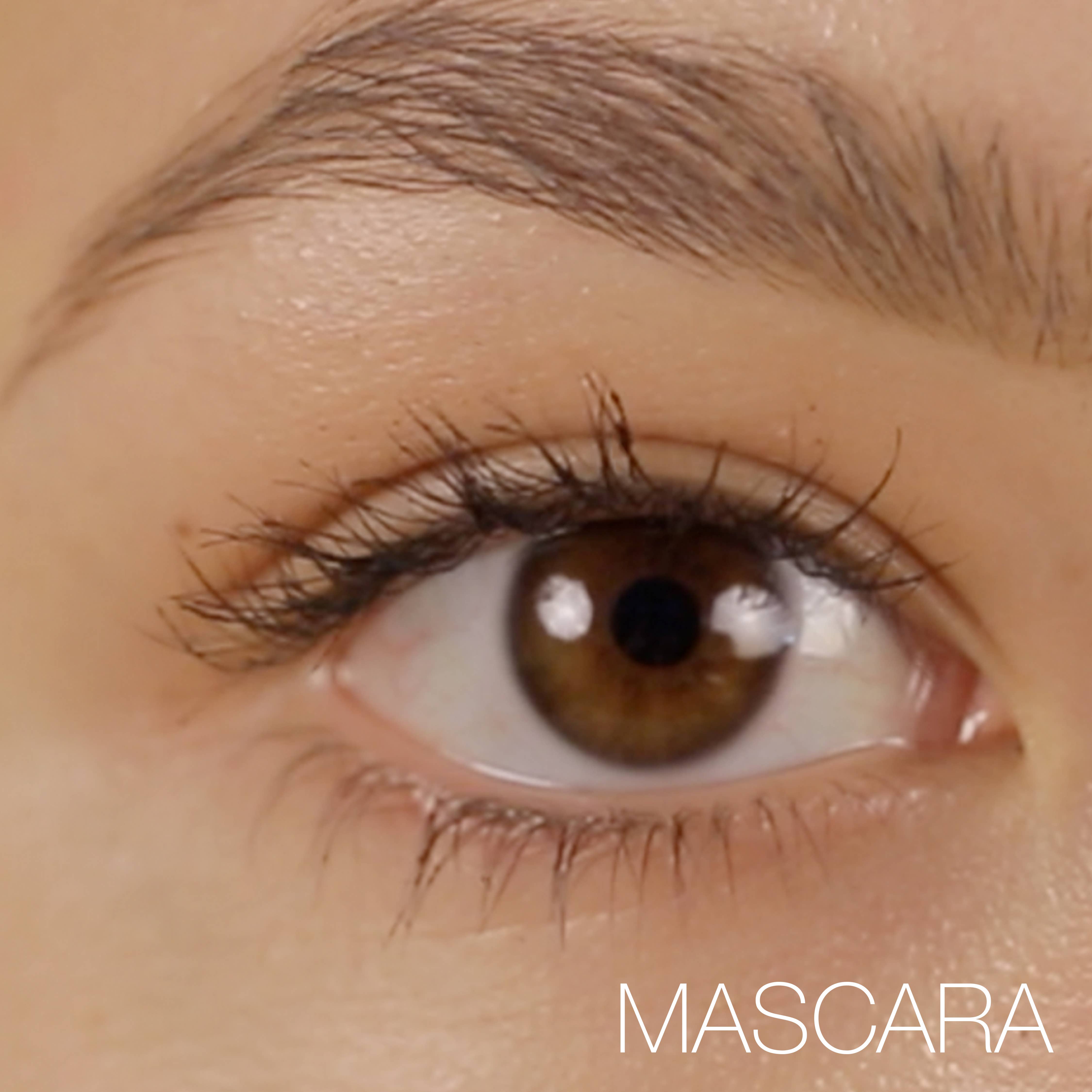 Lashfood - Wholesale Mascara - Prime and Define Duo4