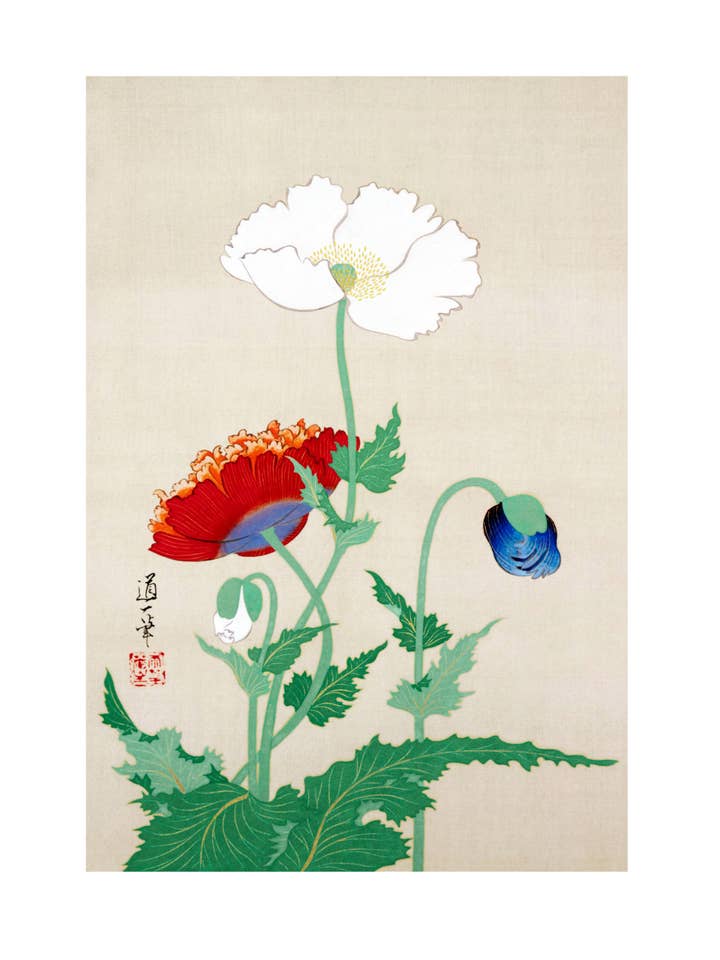 Coquelicots japonais pour la vente par Sweet Tree Cards
