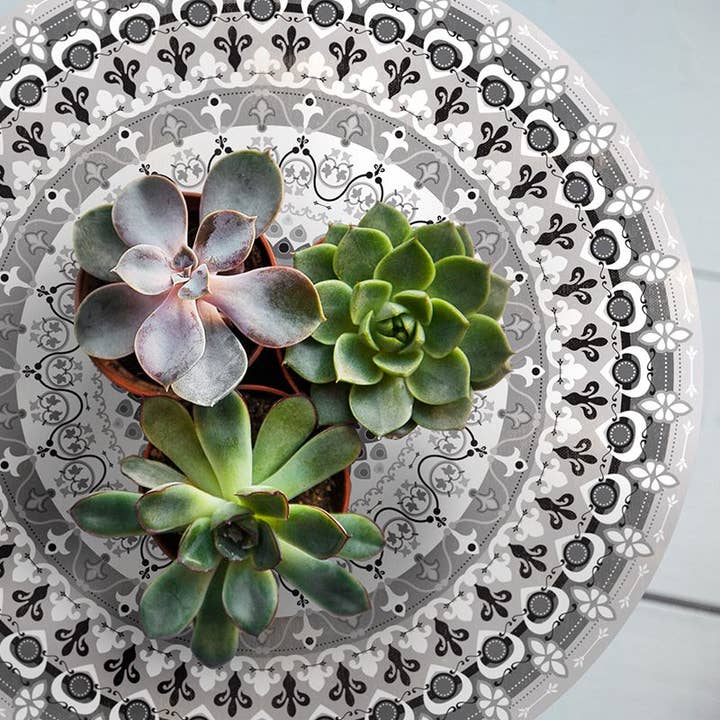 Universo Capolista per la vendita all'ingrosso da parte di Adamá