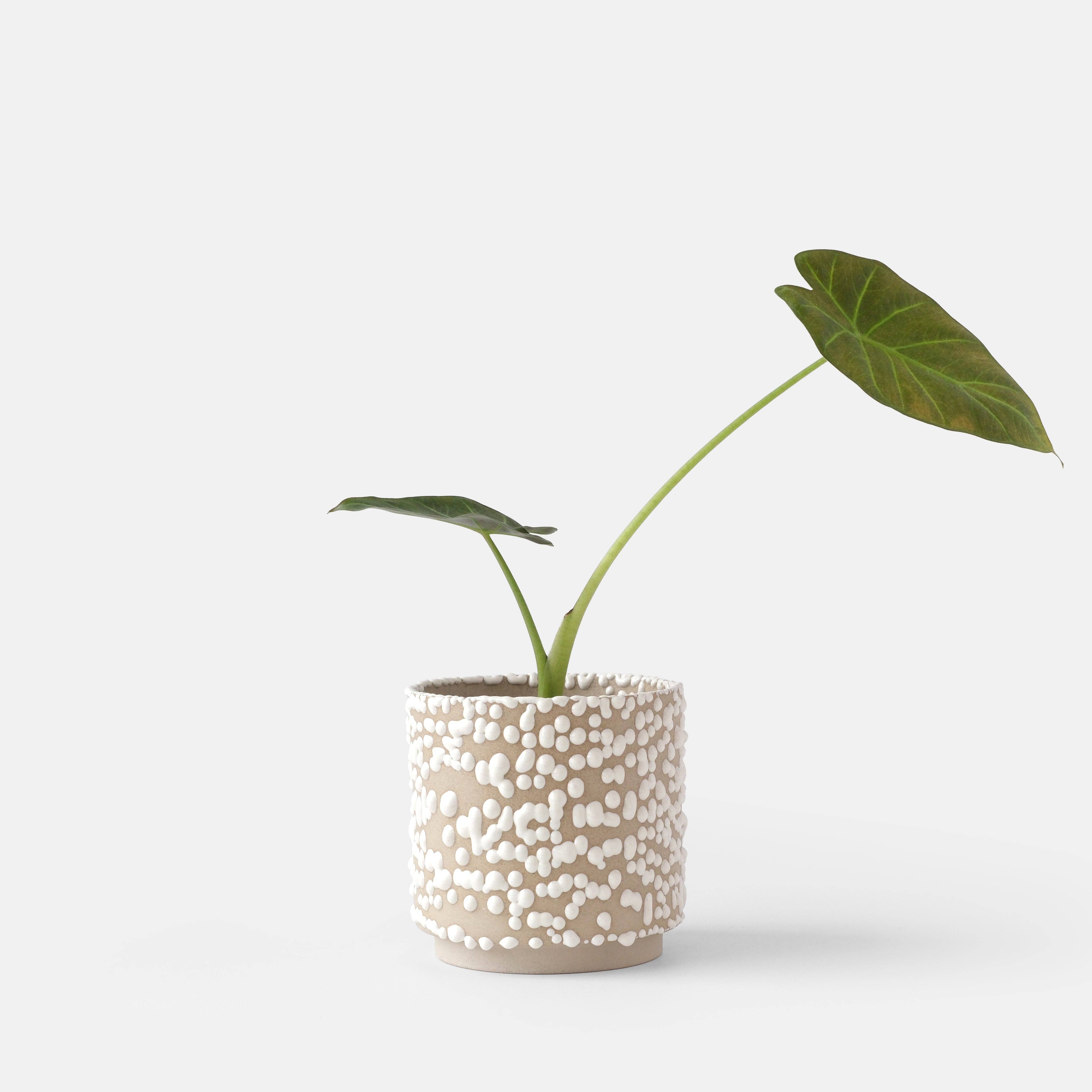 Misewell - Wholesale Plant Pot - Kolo (Gloopy) Planter0