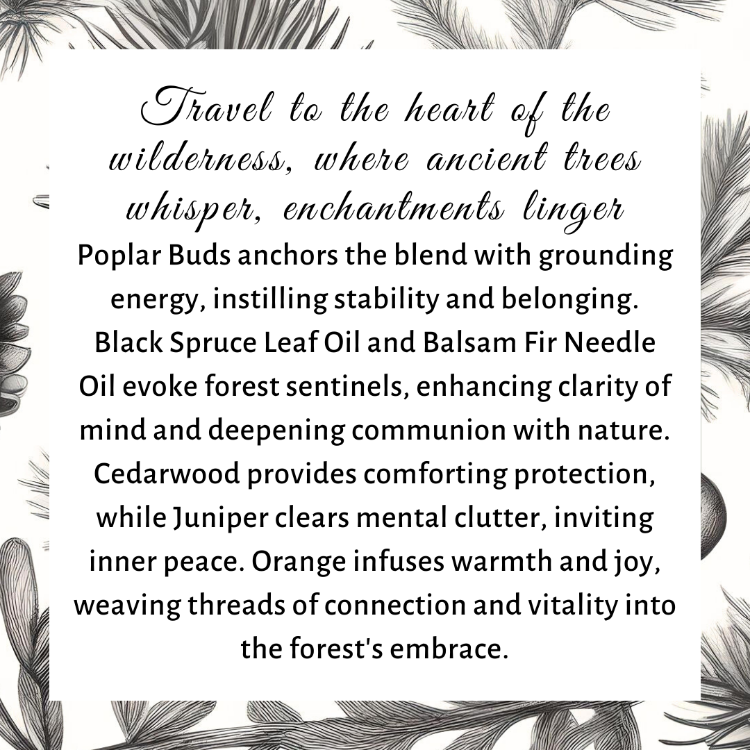 Blooming Wild Botanicals - Wholesale Aromatherapy Lotion/Oil - Forest Magic Aromatherapy Potion No 75