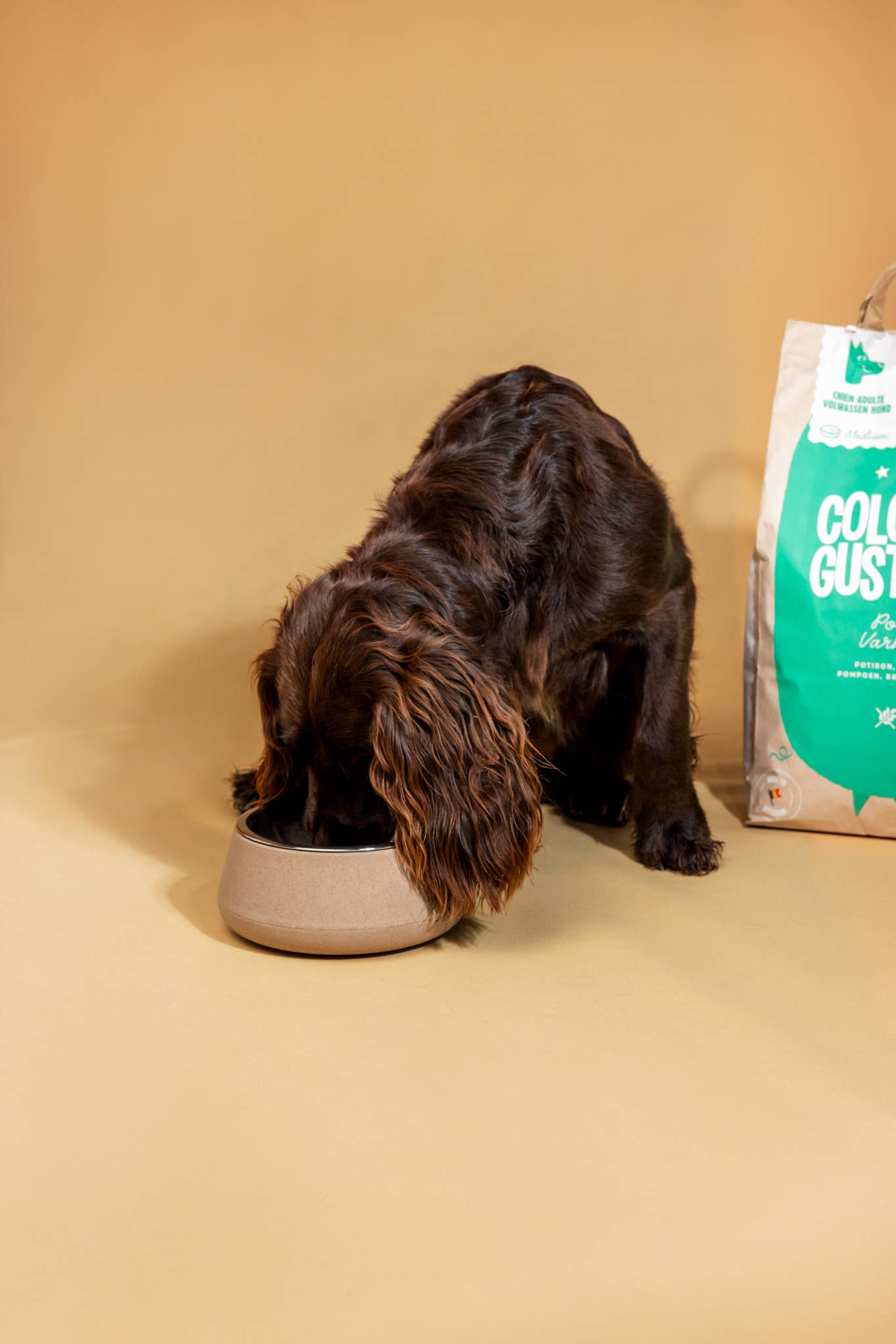 Colonel Gustave – wholesale Pet food – Dog – Adult dog kibble - fresh pork, pumpkin and nettle1