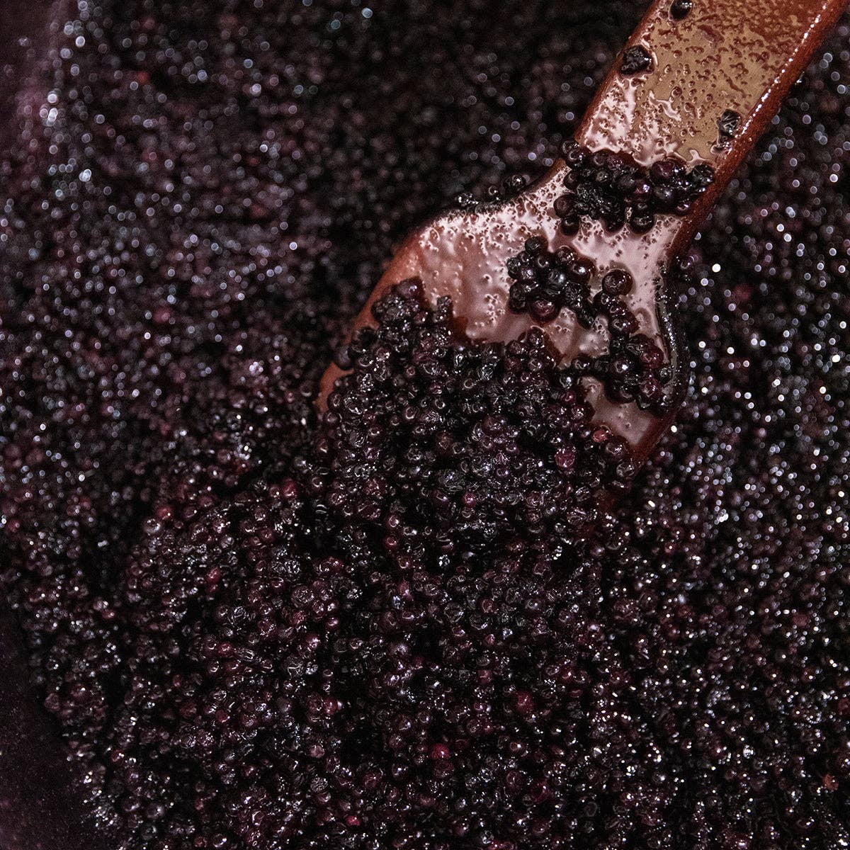 Blake Hill Preserves - Wholesale Jam/Jelly - Wild Blueberry11