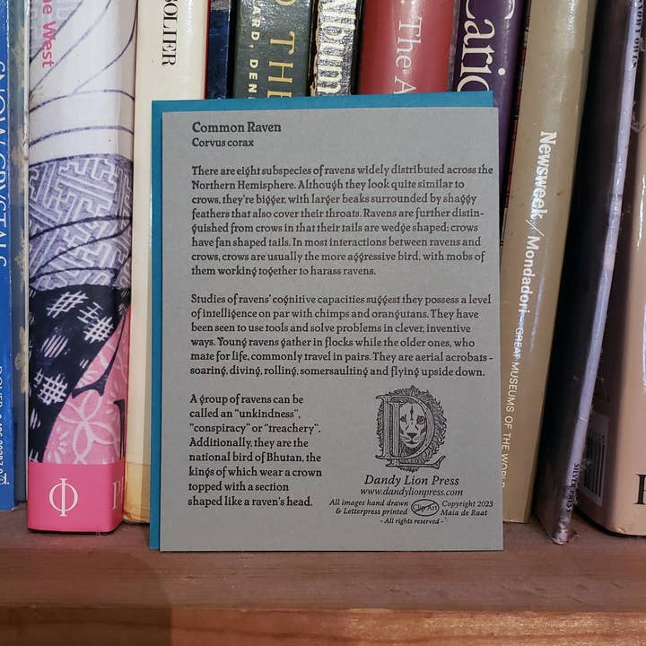 Dandy Lion Press - Wholesale Everyday Greeting Card - Common Raven Card Letterpress Printed3