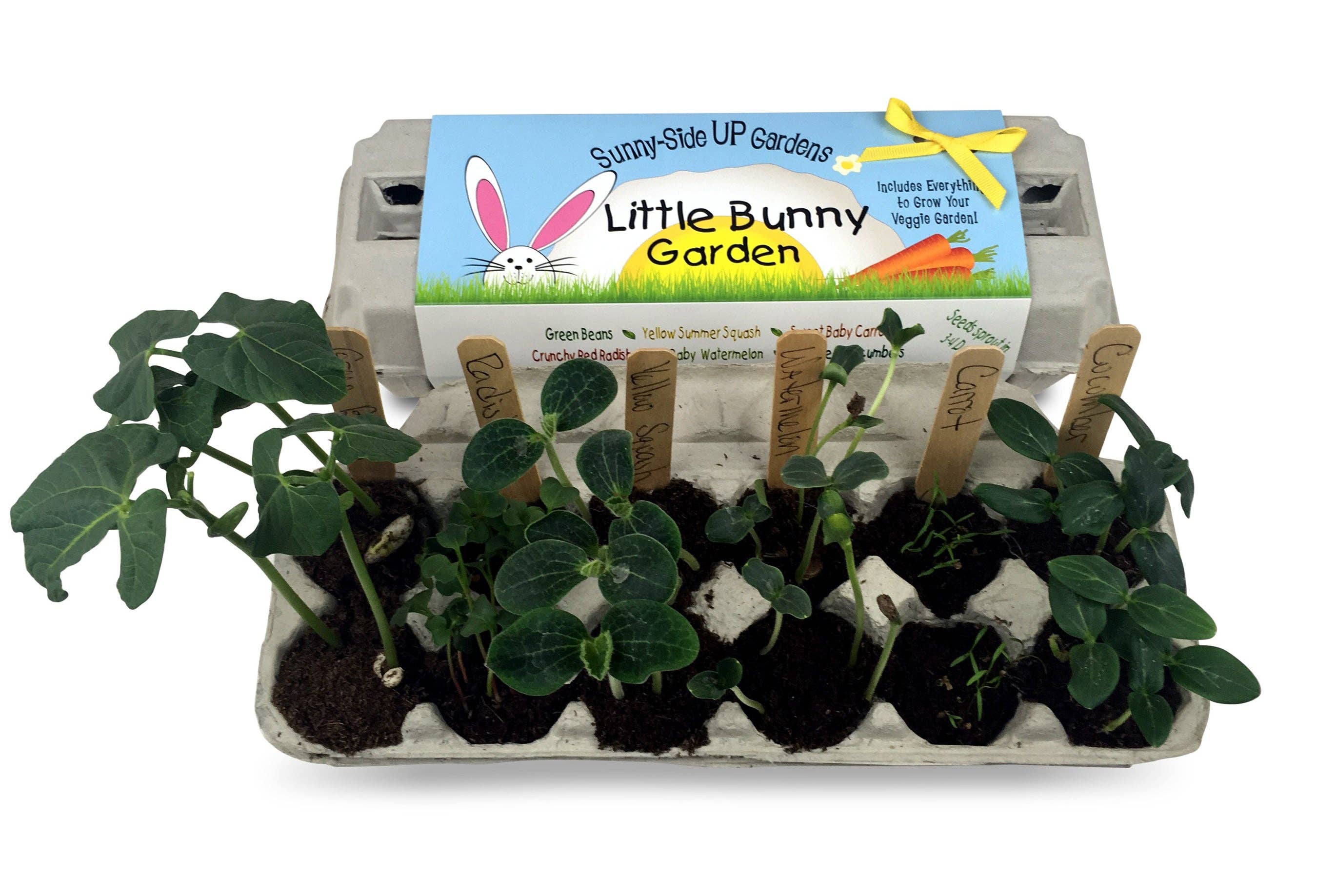 Backyard Safari Company - Wholesale Plant Seeds - Little Bunny Garden Grow Kit2