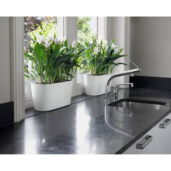 Lechuza Self Watering Planters - Vendita all'ingrosso Vasi per piante - LECHUZA DELTA Fioriera da tavolo/davanzale in poliresina9