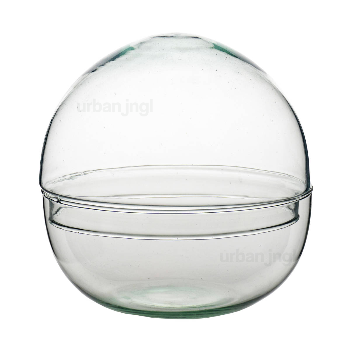 Trendhero.nl/b2b - Wholesale Terrarium - Koepel - Glazen bol - Stolp - Gesloten terrarium ↑20 cm1