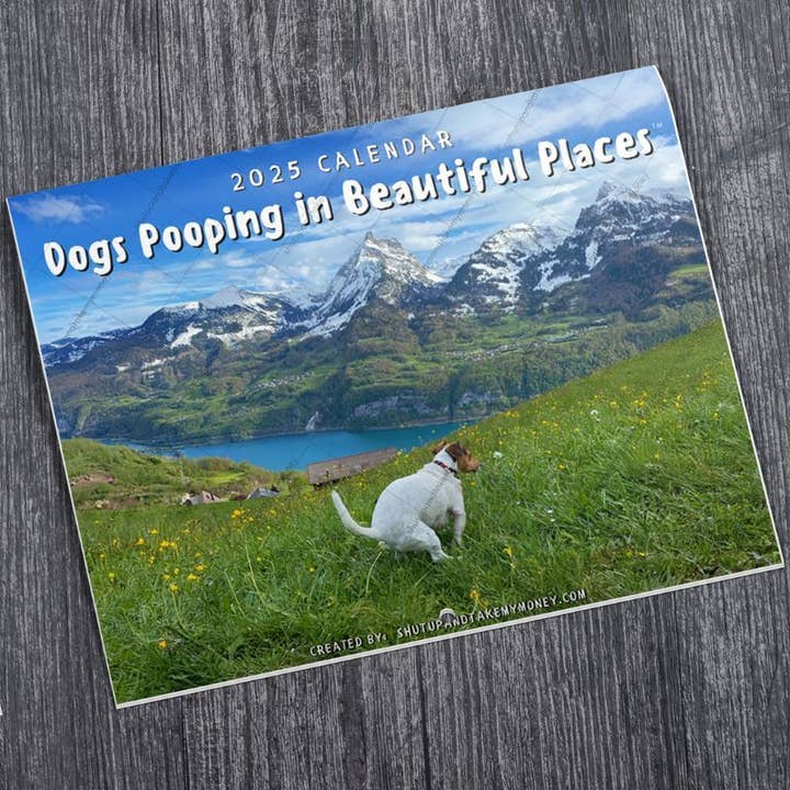 ShutUpAndTakeMyMoney - Wholesale Calendar - Dogs Pooping in Beautiful Placesâ„¢ 2025 Calendar - Gag Gift