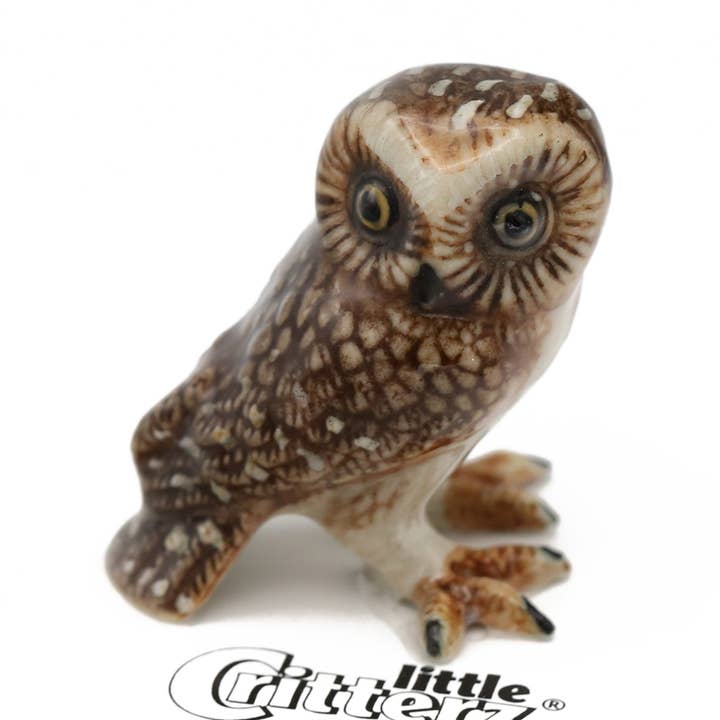 Little Critterz - Vente Figurine décorative - Sawyer Scie-Whet Chouette Porcelaine Miniature0